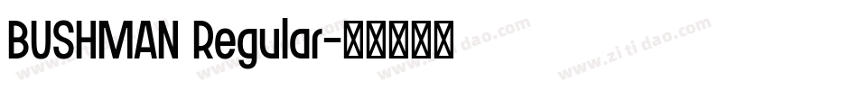 BUSHMAN Regular字体转换